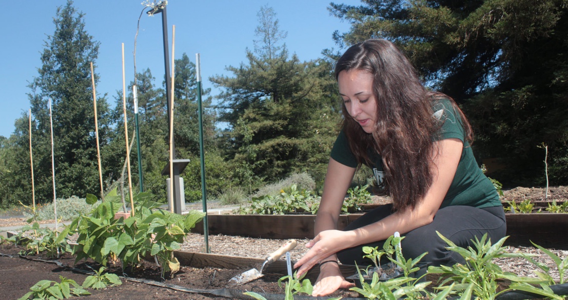 Pitch-and-Plant your ideas in campus gardening contest